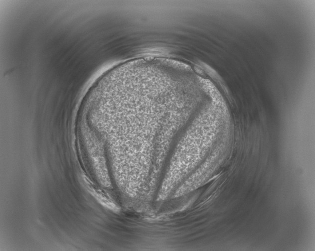 X0000078861435200612041920