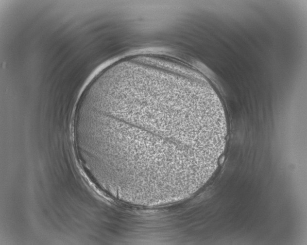 X0000078861436200612041920