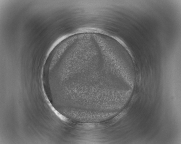 X0000078861438200612041920