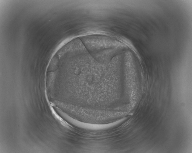 X0000078861439200612041921