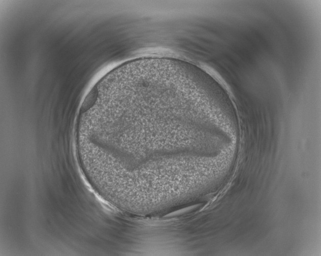 X0000078861440200612041921