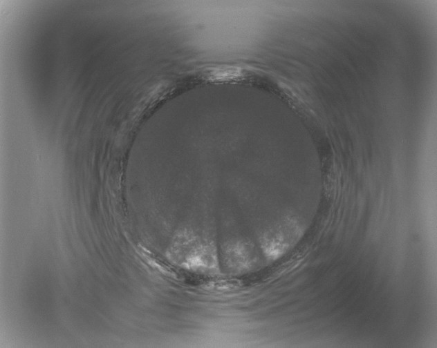 X0000078861441200612041920