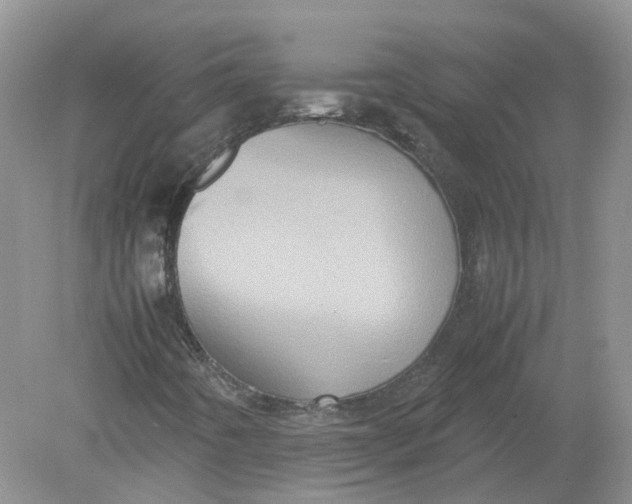 X0000078861442200612041920