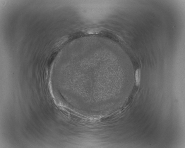 X0000078861443200612041920