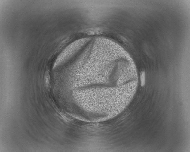 X0000078861444200612041920