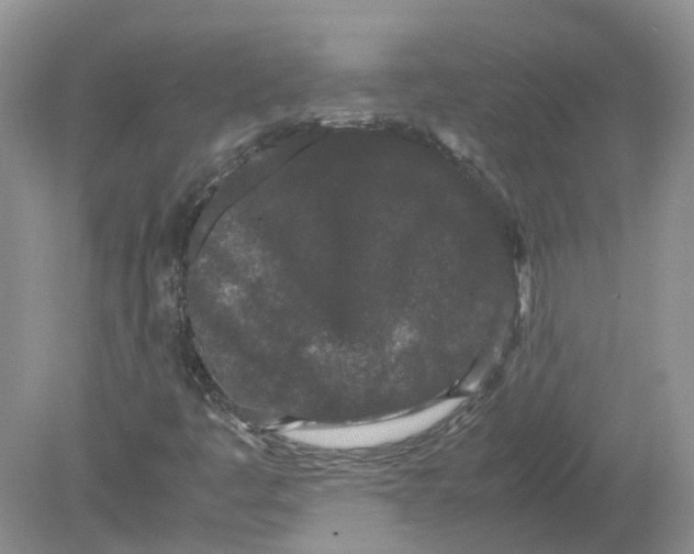 X0000078861445200612041920