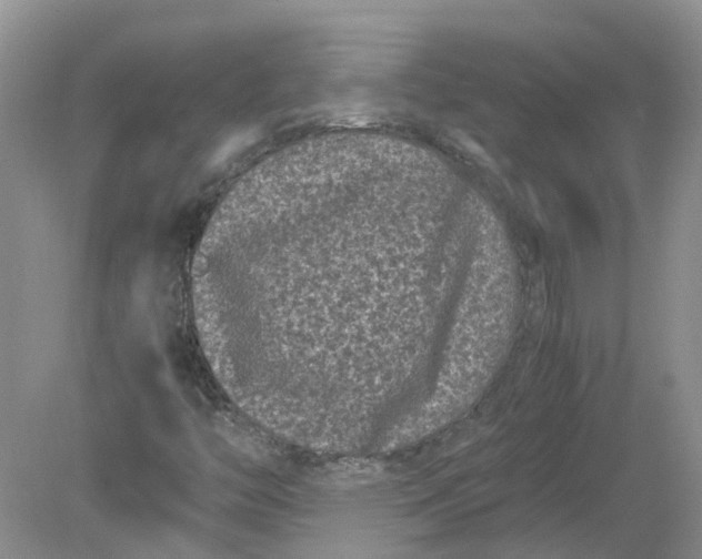 X0000078861446200612041920