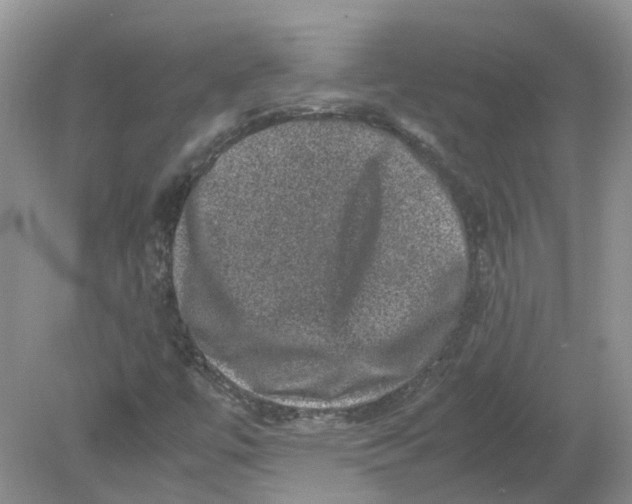 X0000078861447200612041920