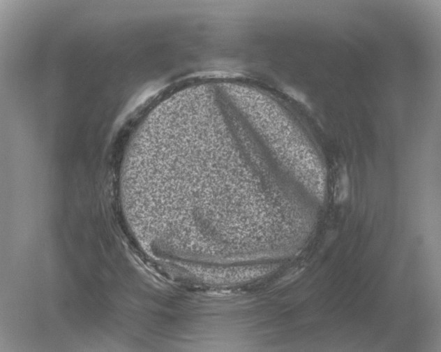 X0000078861448200612041920