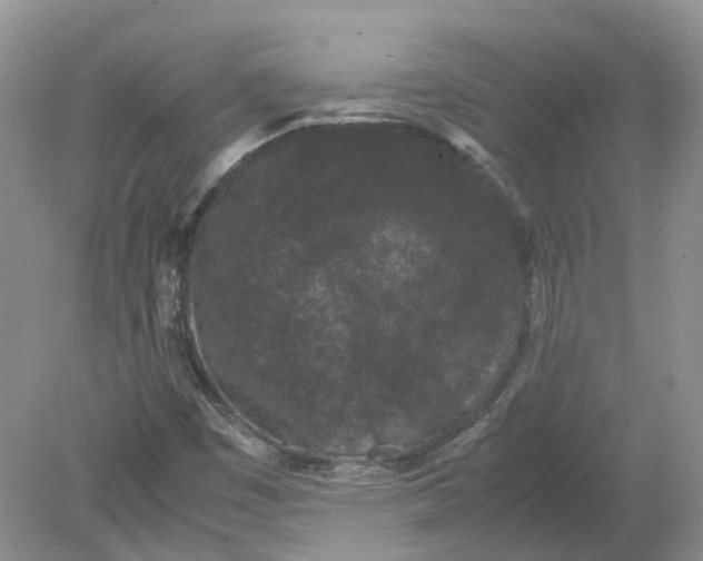 X0000078861449200612041920