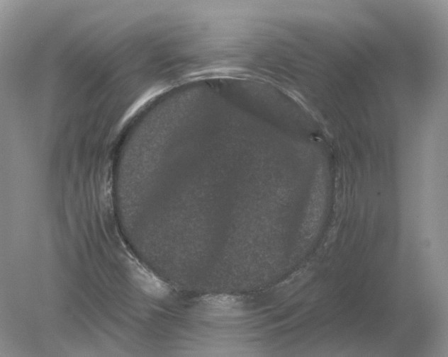 X0000078861450200612041920