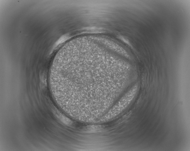 X0000078861451200612041920