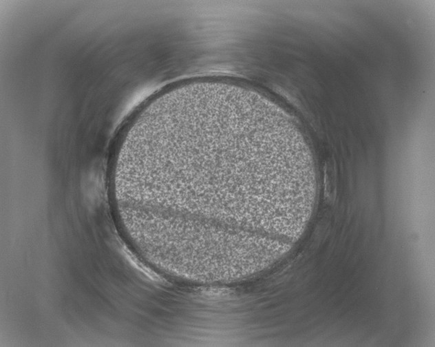 X0000078861452200612041920