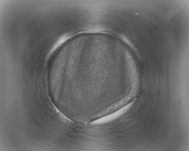 X0000078861456200612041919