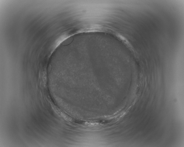 X0000078861457200612041919