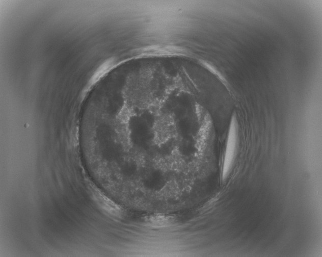 X0000078861459200612041919