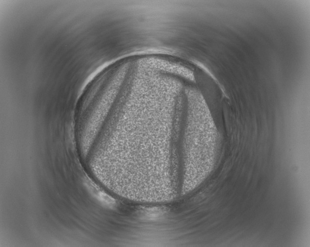 X0000078861460200612041919