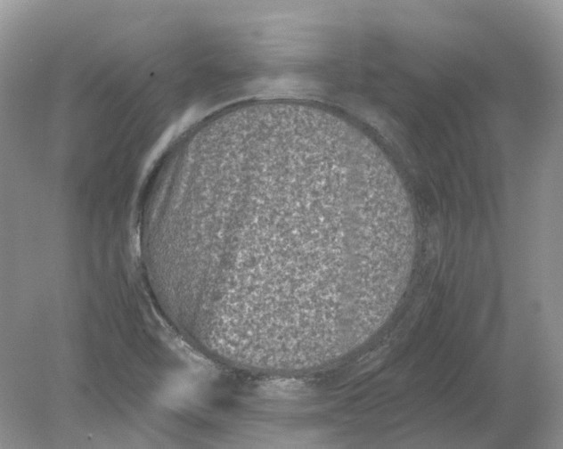 X0000078861462200612041919