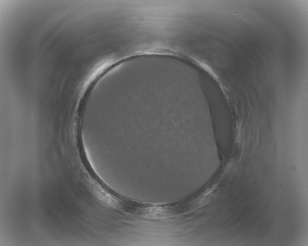 X0000078861463200612041919