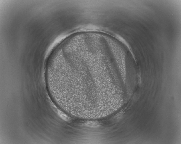 X0000078861464200612041919