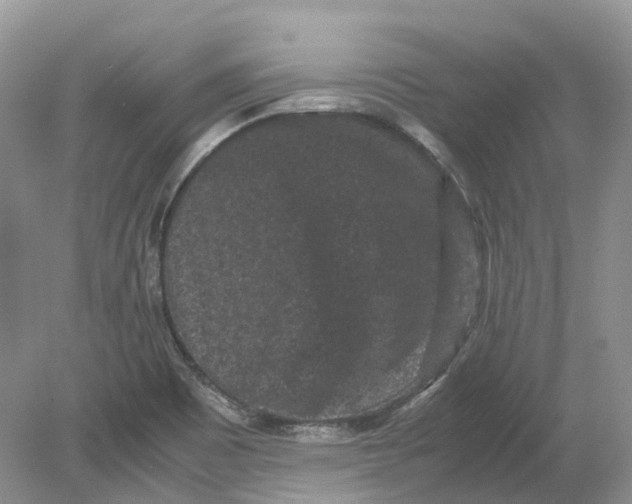 X0000078861465200612041919