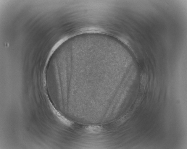 X0000078861466200612041919