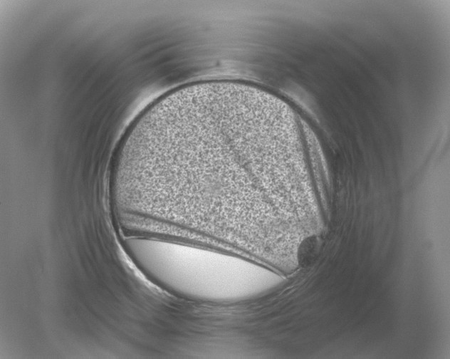 X0000078861468200612041919