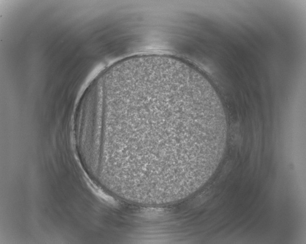 X0000078861470200612041919