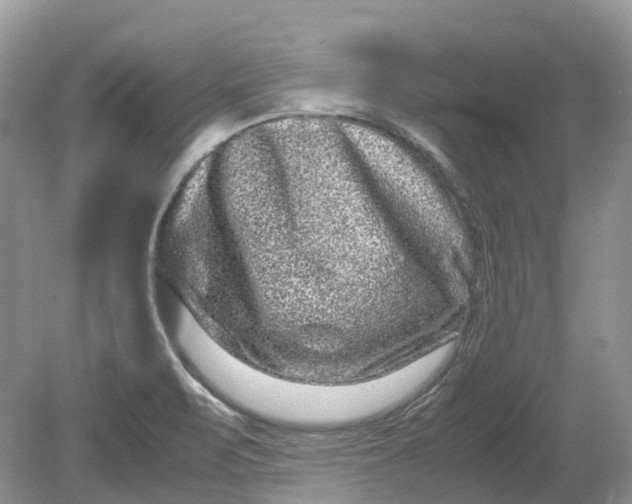 X0000078861471200612041919