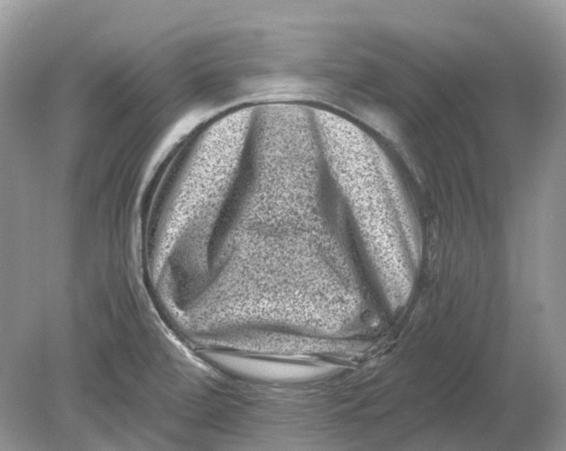 X0000078861472200612041919