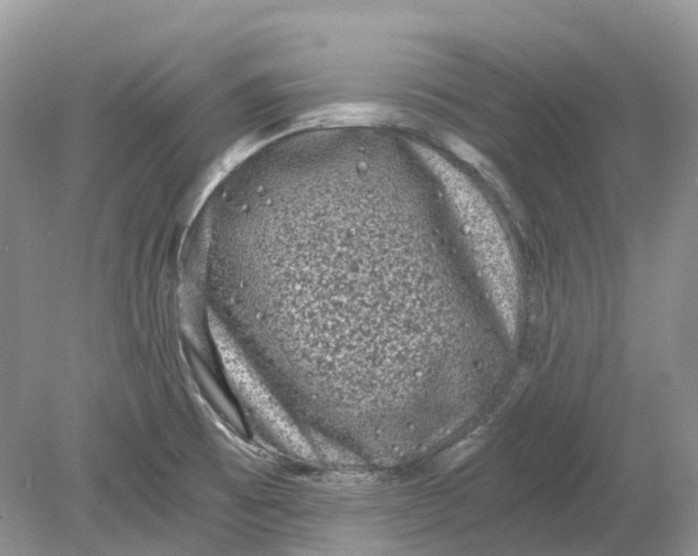 X0000078861473200612041919