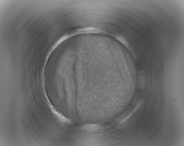 X0000078861474200612041919