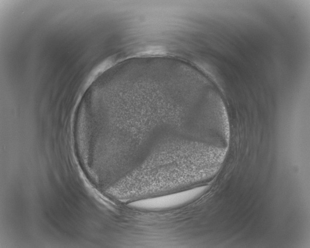 X0000078861475200612041919