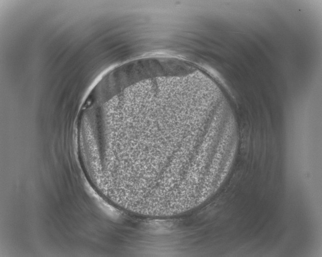 X0000078861476200612041919