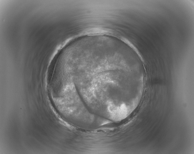 X0000078861477200612041919