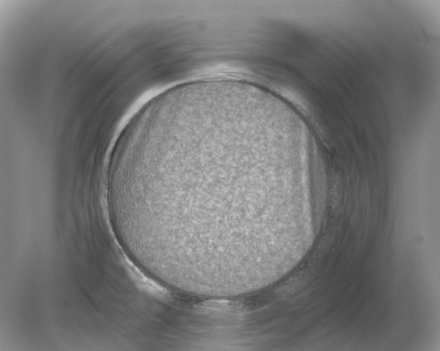 X0000078861478200612041919