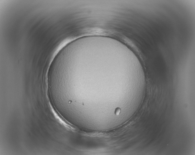 X0000078861479200612041919