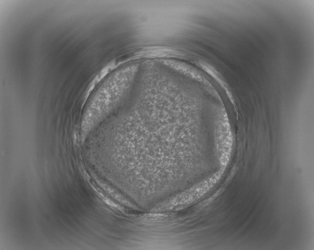 X0000078861481200612041919