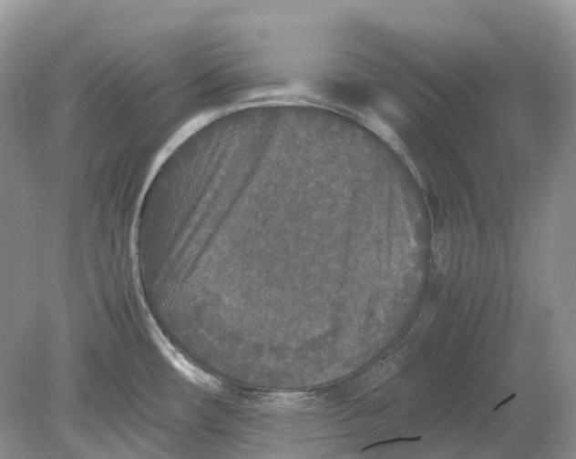 X0000078861482200612041919