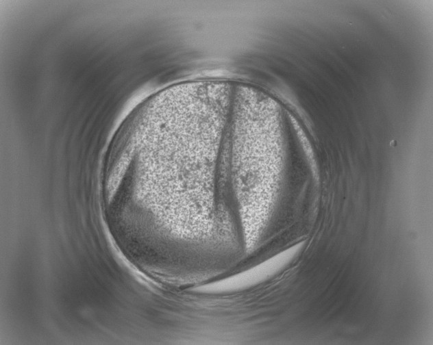 X0000078861483200612041919