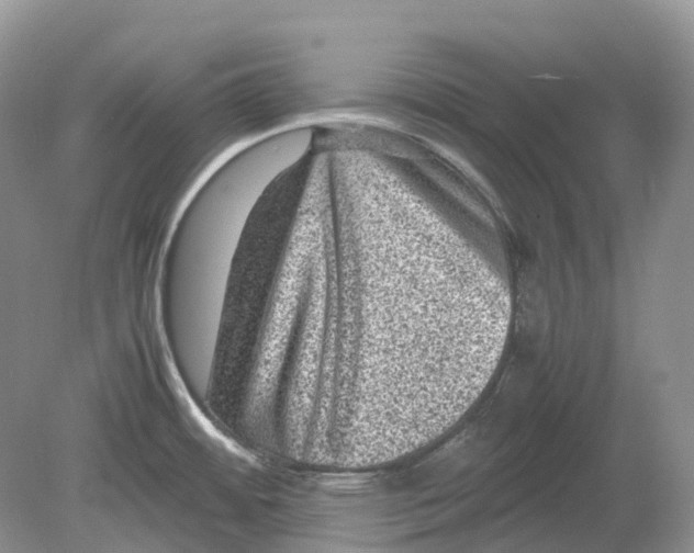 X0000078861484200612041919