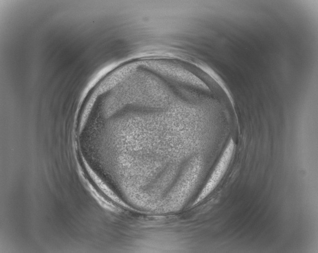 X0000078861485200612041919