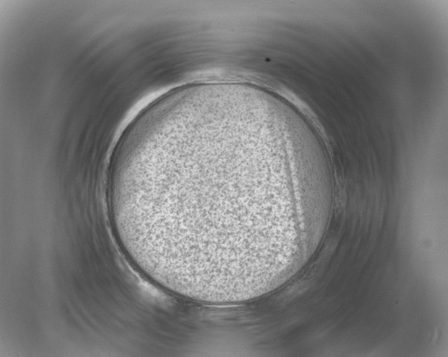 X0000078861486200612041919