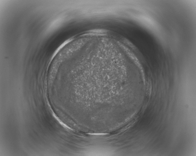 X0000078861487200612041919