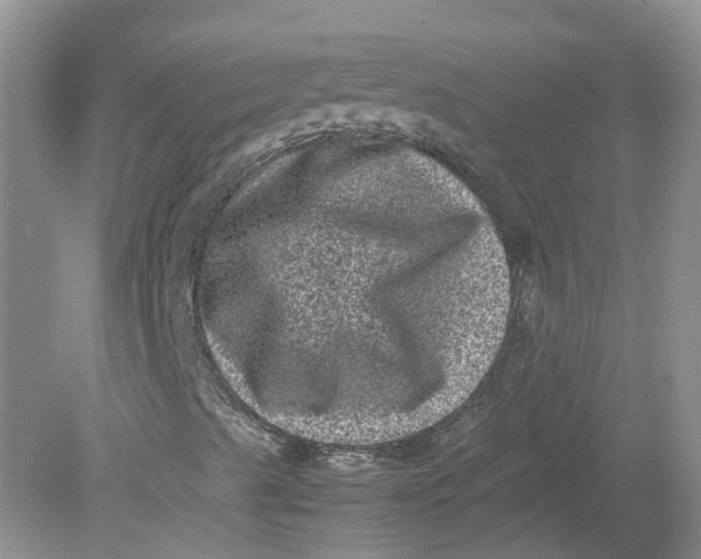 X0000078861489200612041918