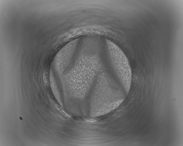 X0000078861490200612041918