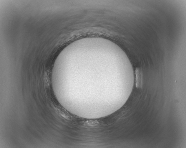 X0000078861491200612041918