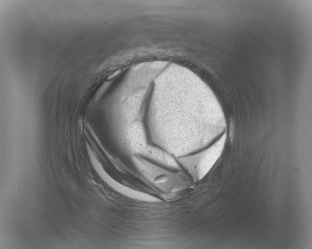 X0000078861492200612041918