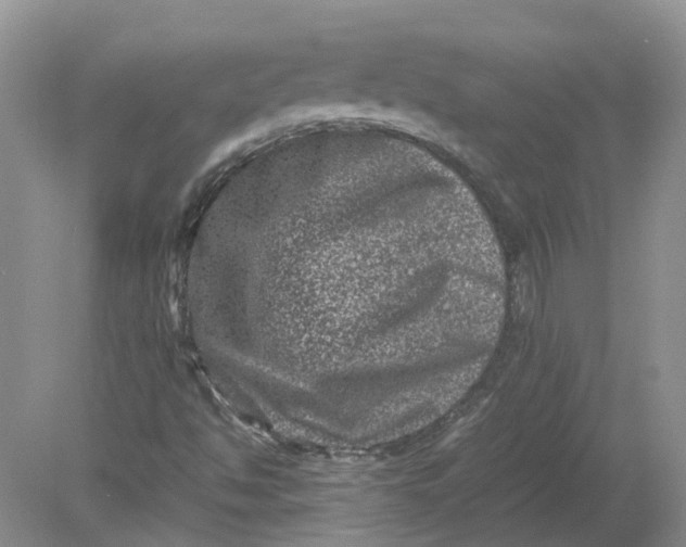 X0000078861494200612041918