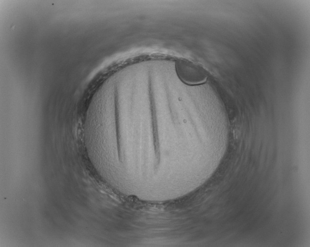 X0000078861495200612041918